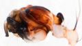 Pedipalpus